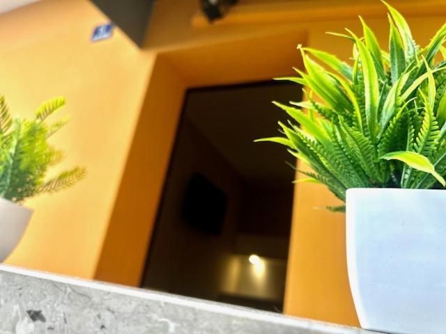 Residence Zar 8 Trieste Exterior foto